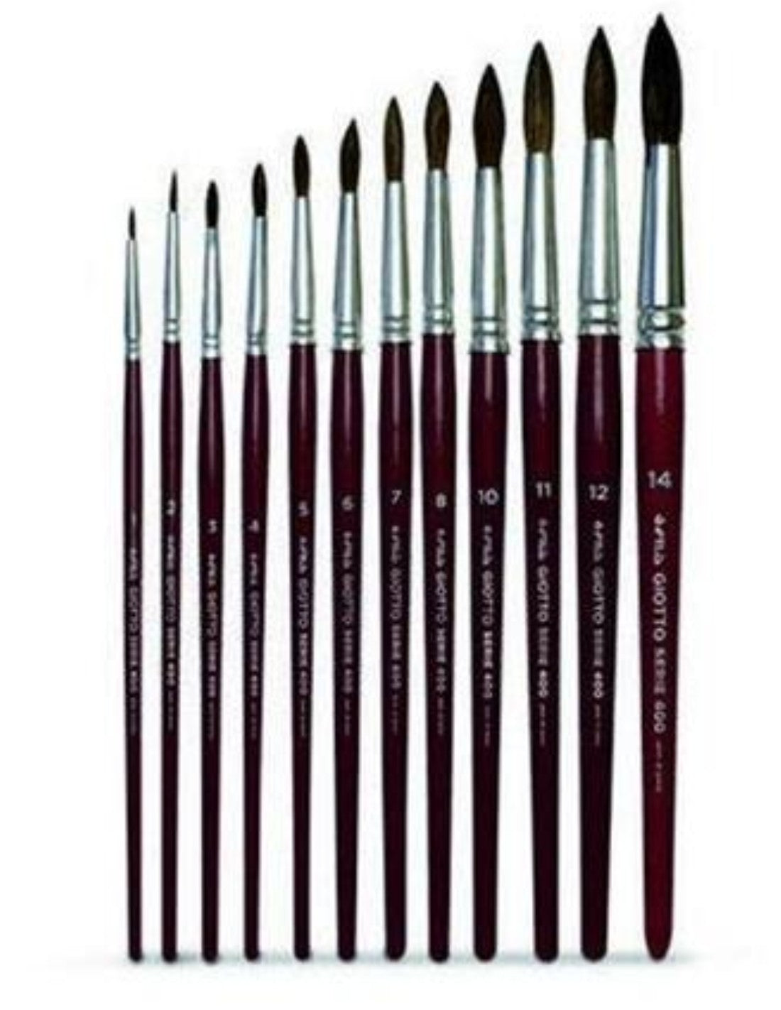 02768_1|1d23d2714fae582e715fc1f62c2cea72