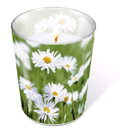 06001_1|01cf78806dec7cfbbd6f8a2d2fd75d22