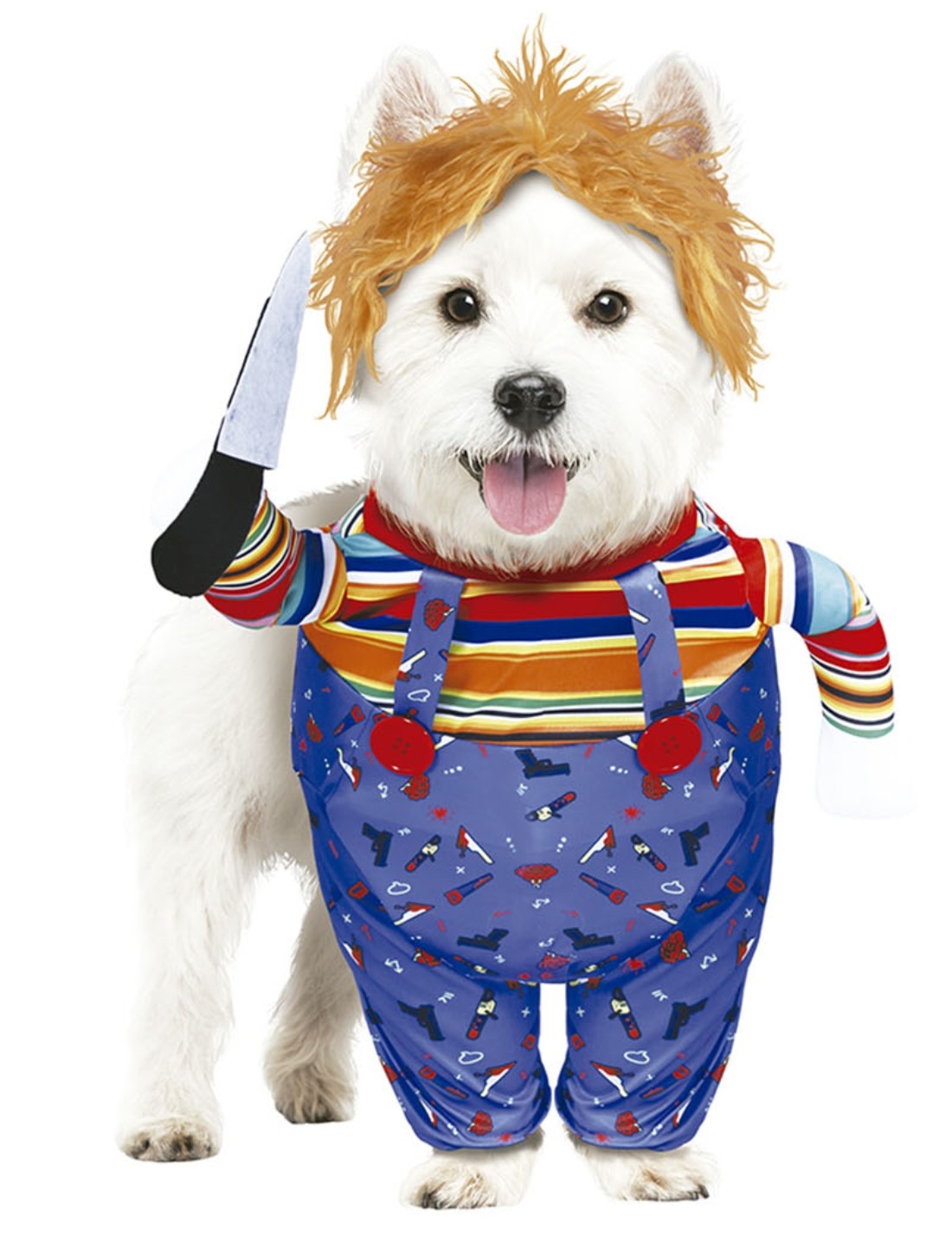 08875_2|923a98bf28d0a15988c08ce678990ea2