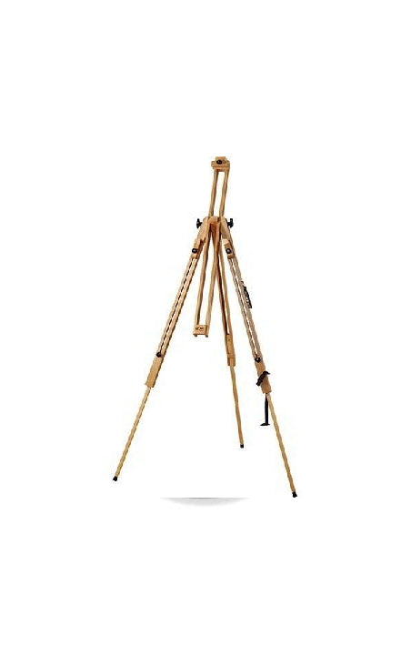 12922_1|8583b150305309c1f9210871f119b1fd