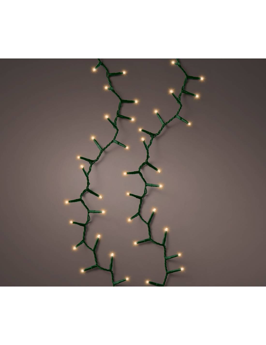 13865_2|f59bddd31531a075c86ff34e70ada8db