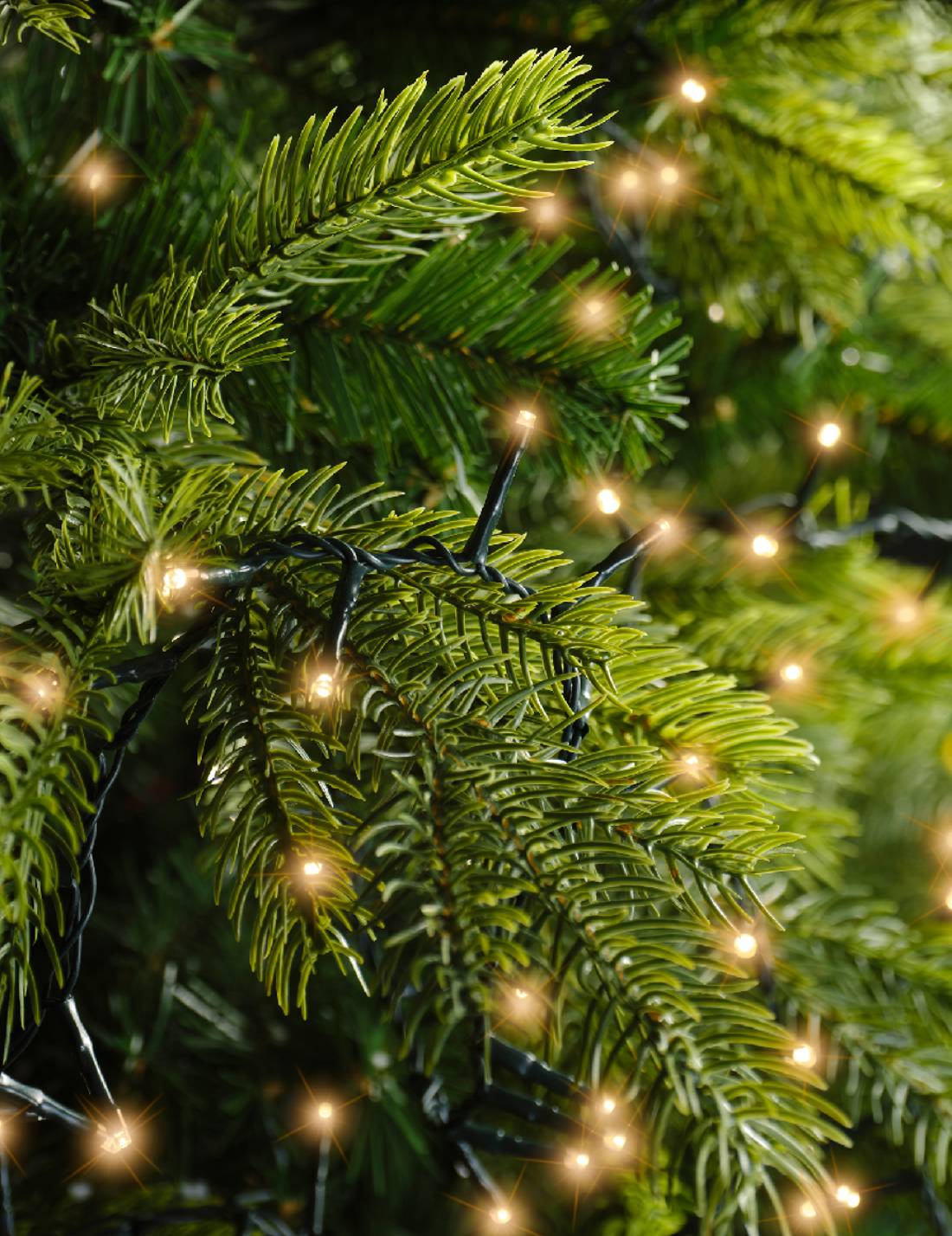 13875_2|6e51a3b0595c966477d56539358e6a82