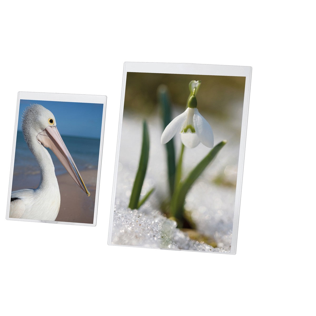 14609_1|7fb56a4c039b75f173ef0839aae41639