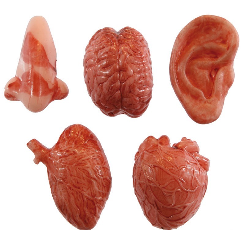 15749_1|a3cb429008023b25800819479eb11ad6