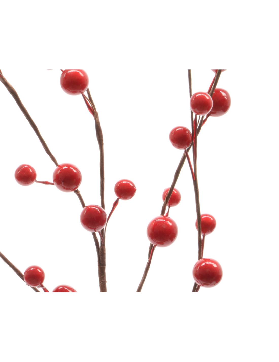 16095_2|d7d6c61f633fd321445d261ab1ab166e