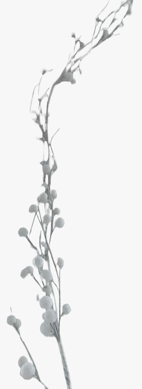 16126_1|f9181cc704a99c65e908c46e4dfb44e3