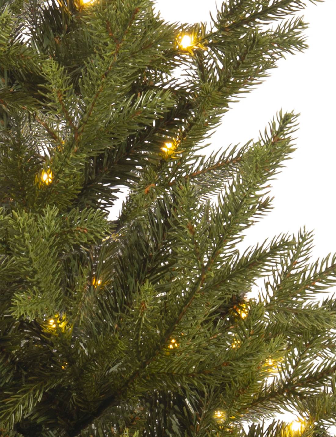 16878_2|fde184793346c6c5b751711a9e402f64