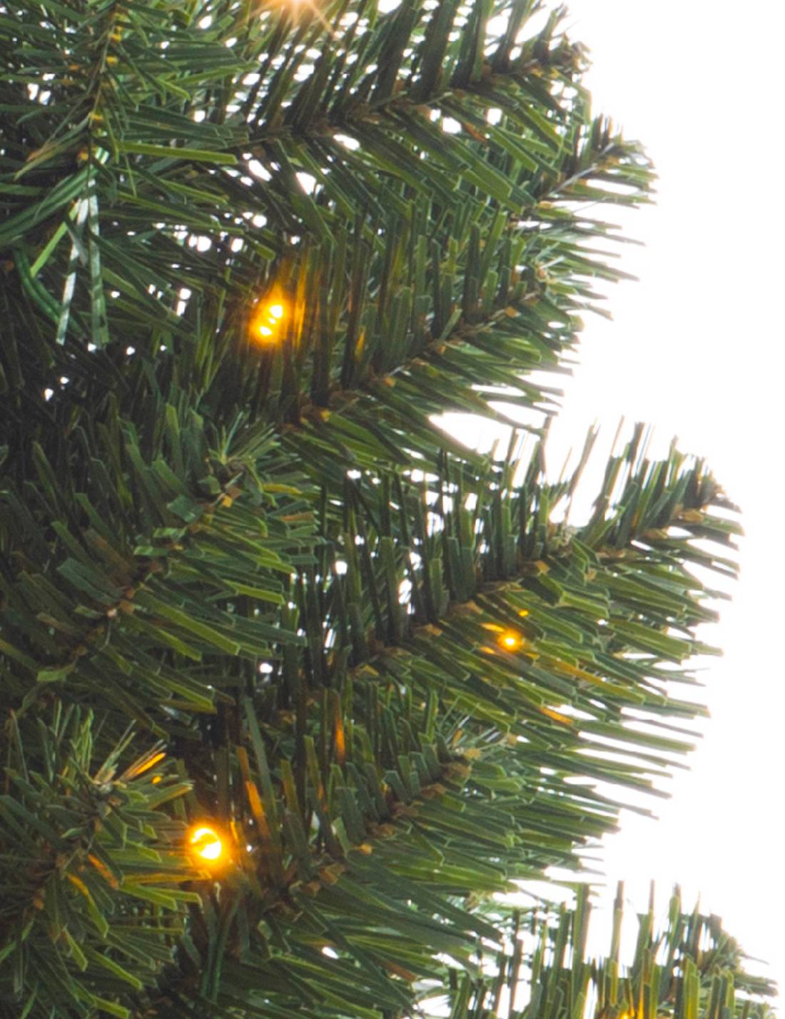 16883_3|a87f1e8e60b8556649d964fca9bea4e6