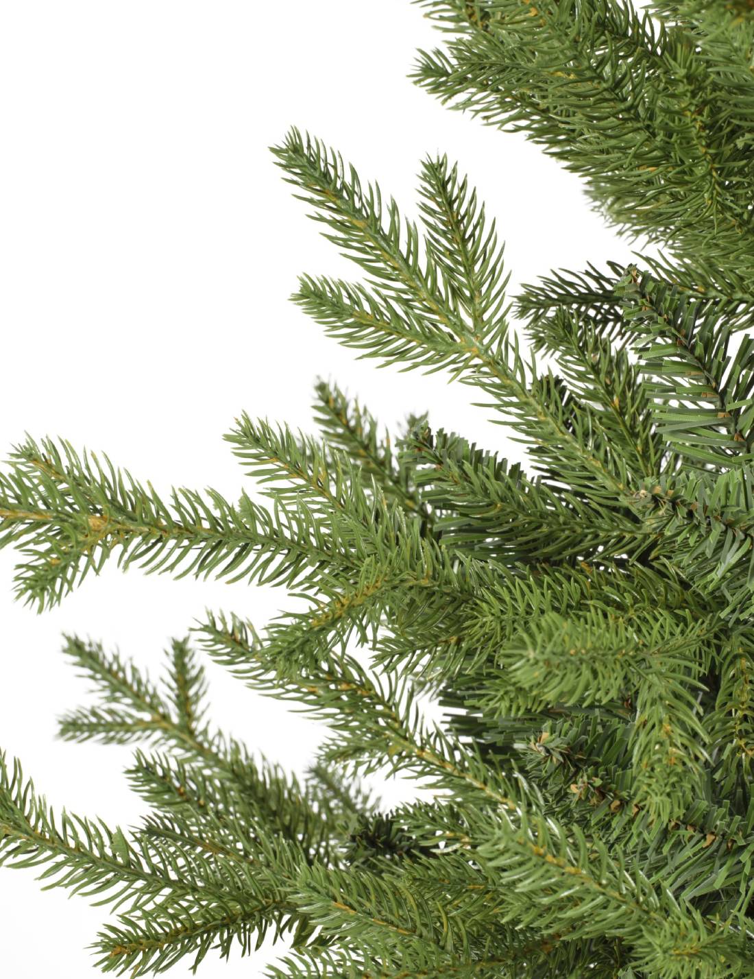 16937_2|379fd239ee19b35748af200036f5d283