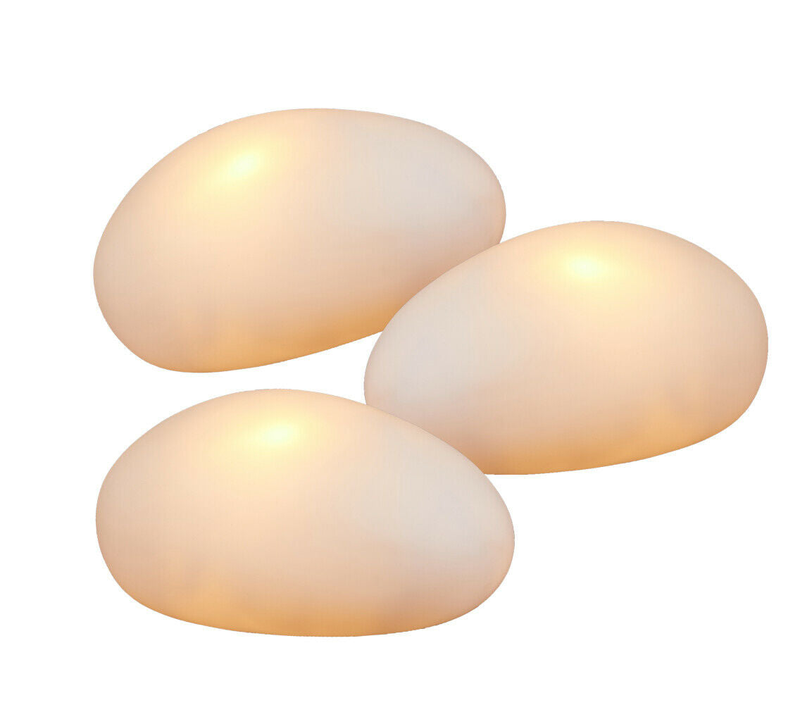 18450_1|6d71af34b78d6ef8a14be555fb350a6f