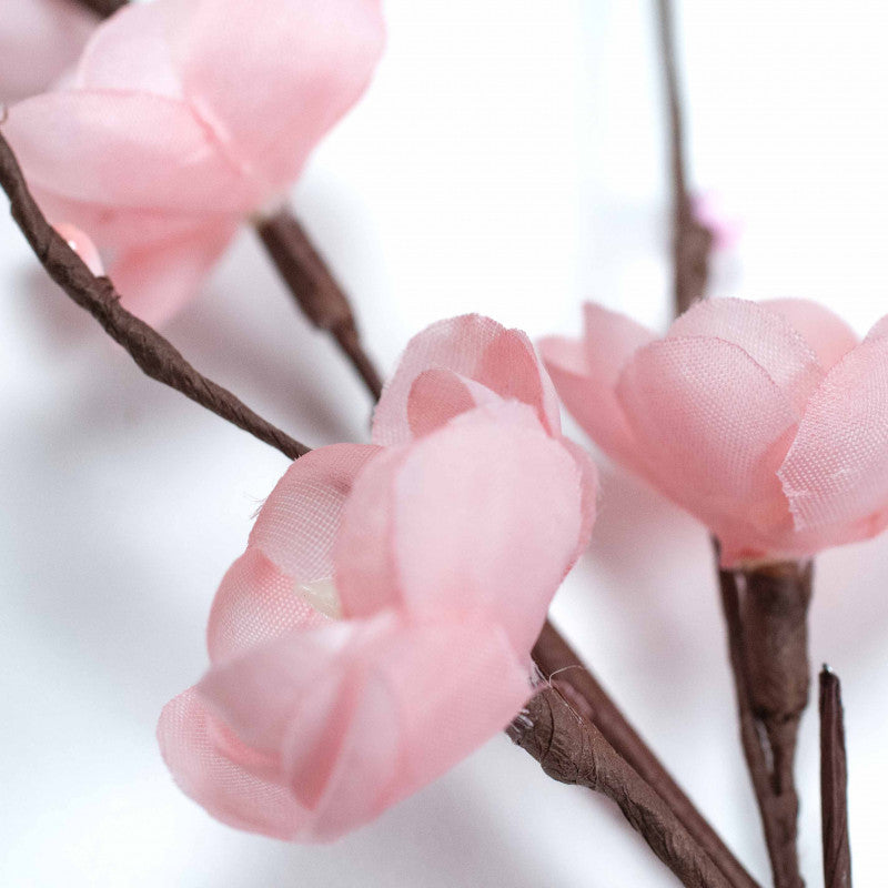 19871_1|5edfe90cd6436a3e998397732657b7a6