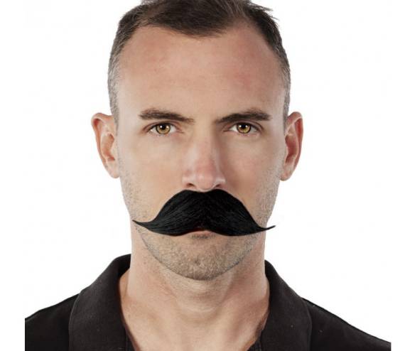 20675_1|c05d616d6bd540e307f400d217590aab