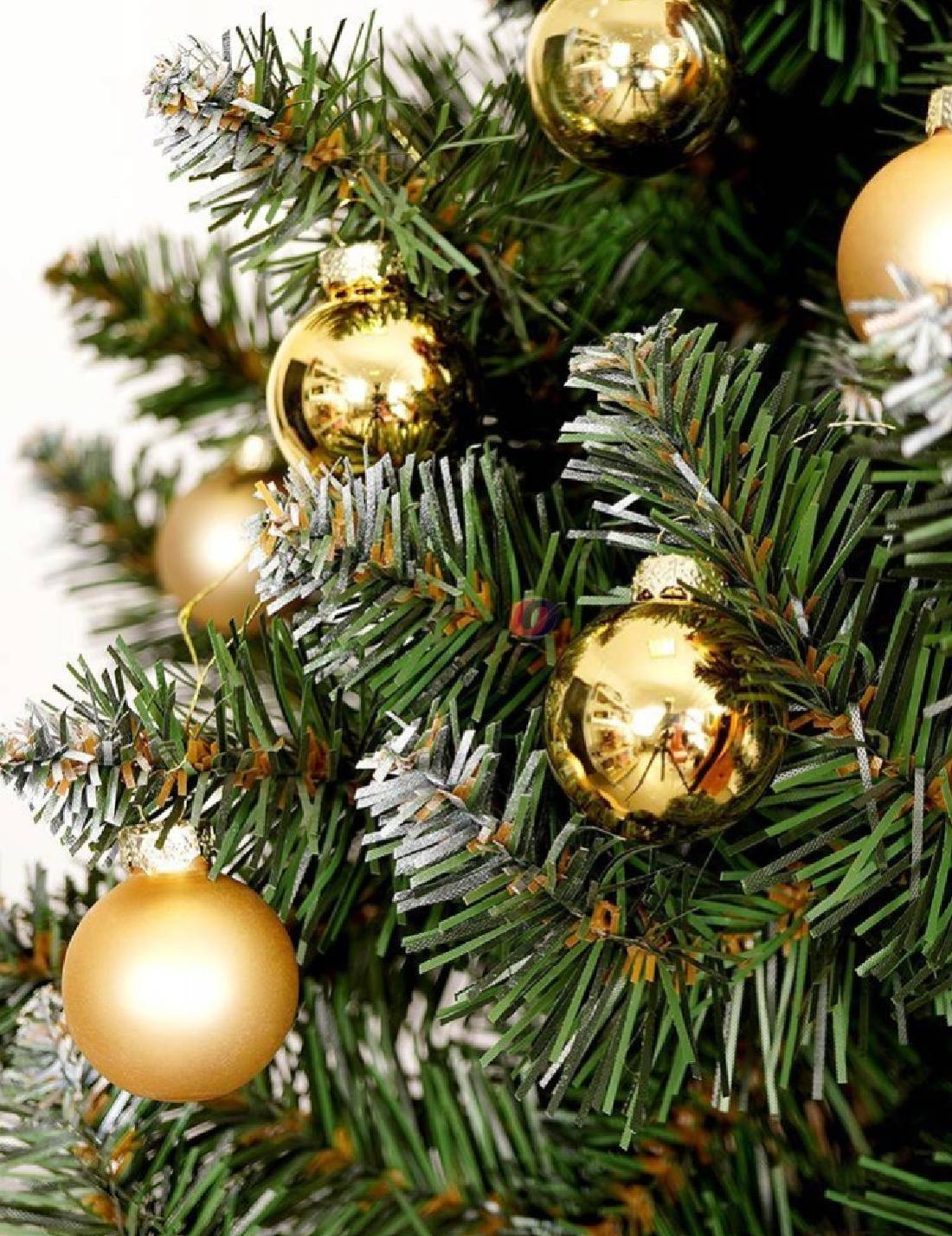 23156_2|77f08ebc1a6b2518a7a972f21fd9f6ca