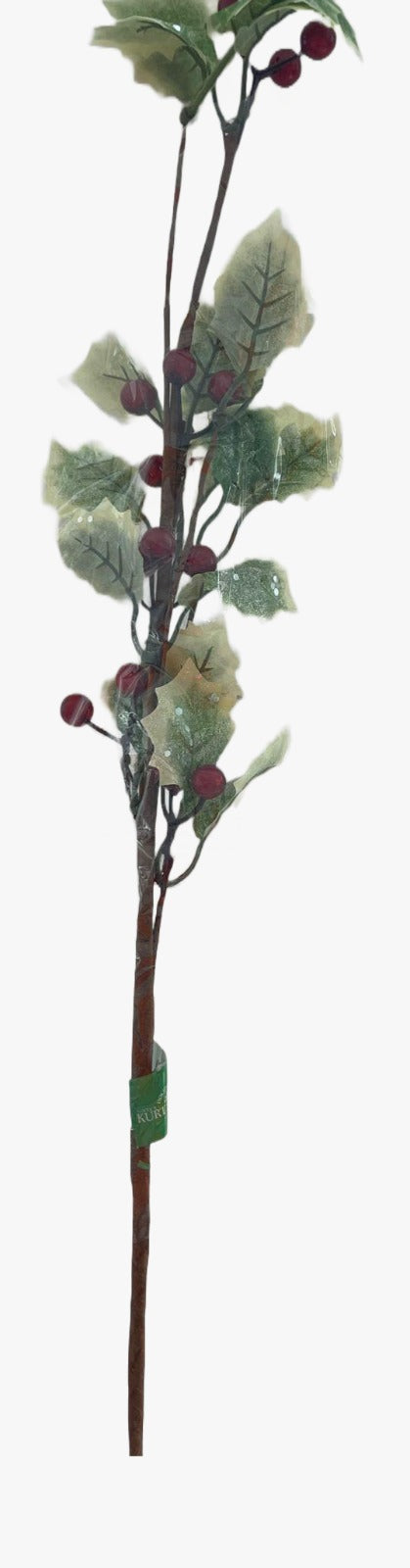 24995_1|94a9a06e5f296ac106153d57644c0b99