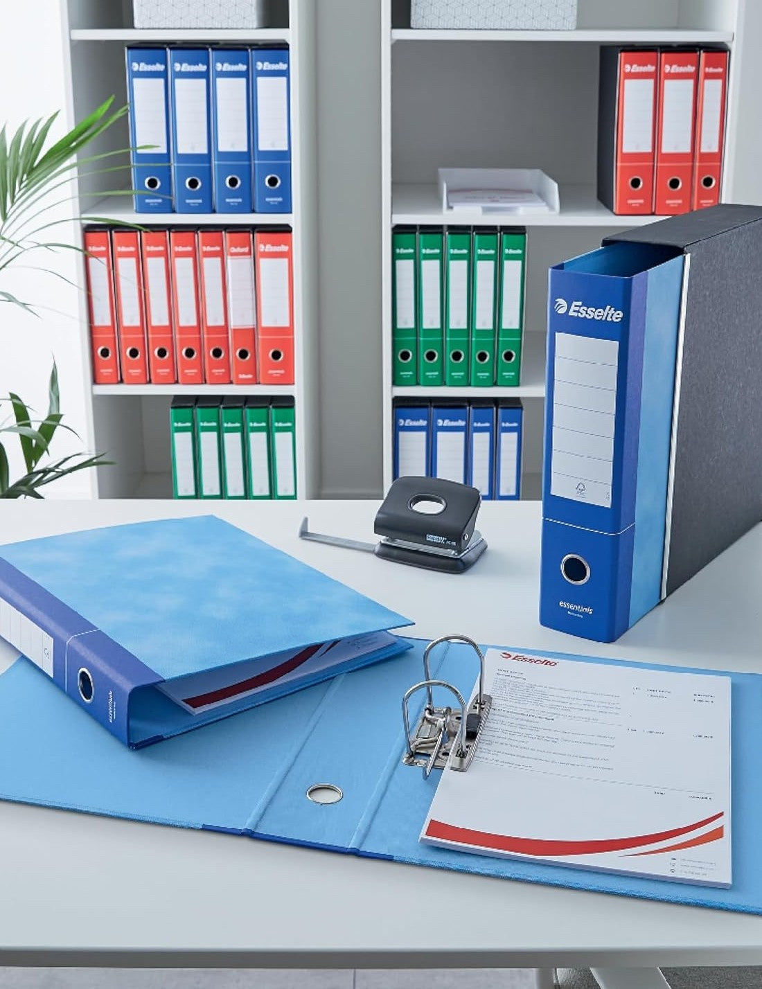 27447_4|cad9a540e134d61976b6641cec01be99