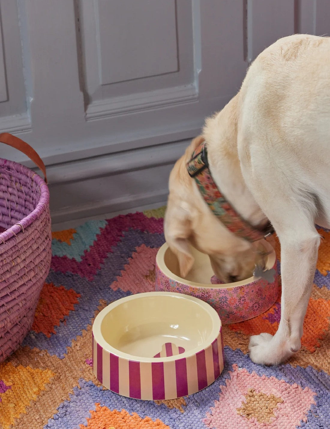 31013_3|39d0a5c5772f0936dfdd35bf7032ae08