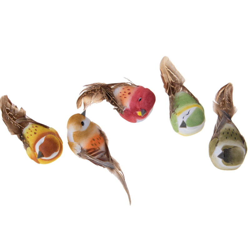 34347_1|e28c5a62e1f1e33930b91b4638e4b5f6